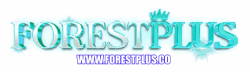 FORESTPLUS เว็บพนันที่เหนือกว่า ที่สุดแห่งความสมบูรณ์แบบ